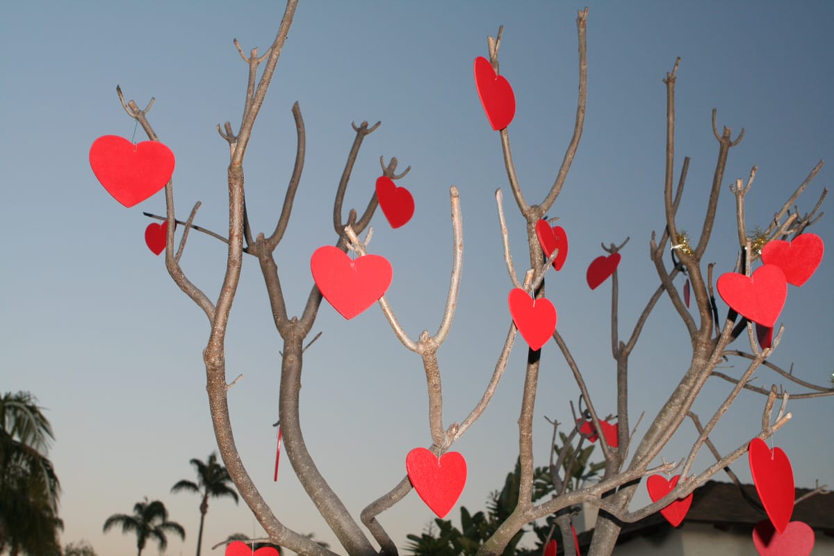 Romantic DIY Gift Ideas for your loved one this Valentine’s Day