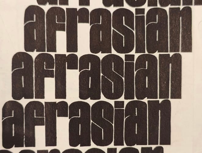 From the archives: Afrasian and how we changed for the better