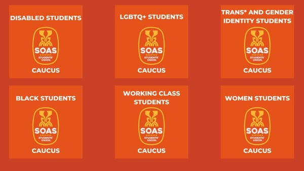 Meet the new liberation caucuses!