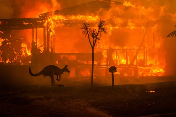 Understanding the fires in Australia.