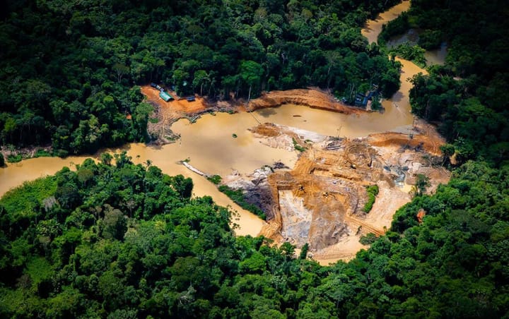 The displacement of the Yanomami: a struggle for human and biodiversity